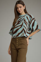Load image into Gallery viewer, Minty Zebra Sweater