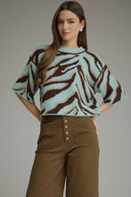Load image into Gallery viewer, Minty Zebra Sweater
