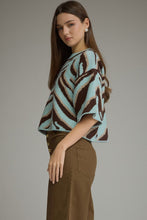 Load image into Gallery viewer, Minty Zebra Sweater
