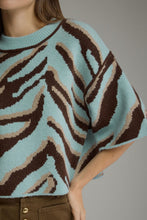 Load image into Gallery viewer, Minty Zebra Sweater
