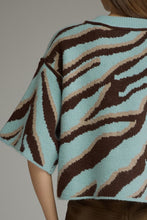 Load image into Gallery viewer, Minty Zebra Sweater
